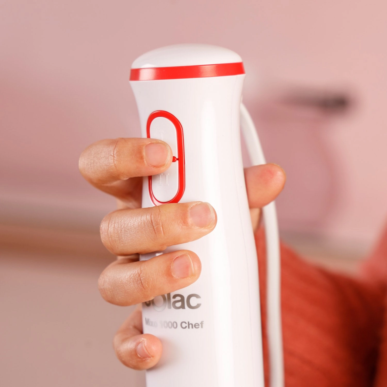 Hand Blender - 1000 W