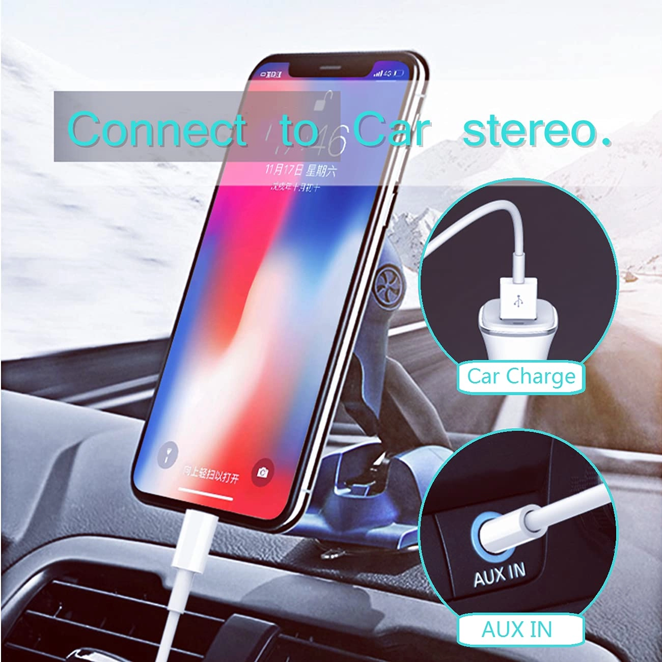 Lightning to 3.5mm Aux Cord - 3.94Ft