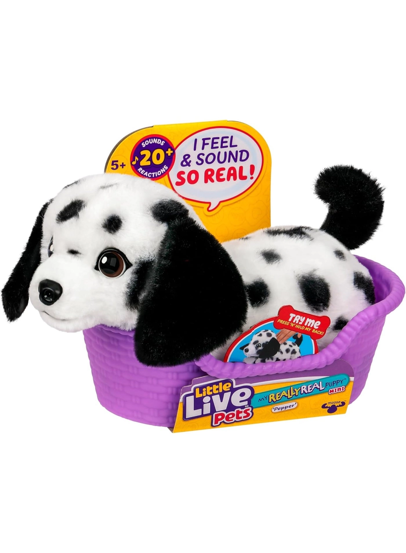 My Really Real Mini Puppy Buddy - 5 years and above