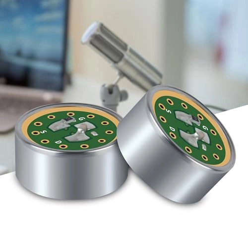 DR1407C-1 Wired Microphone