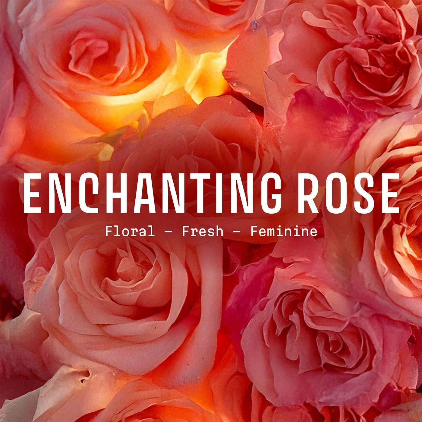 Enchanting Rose Eau de Toilette 50ml