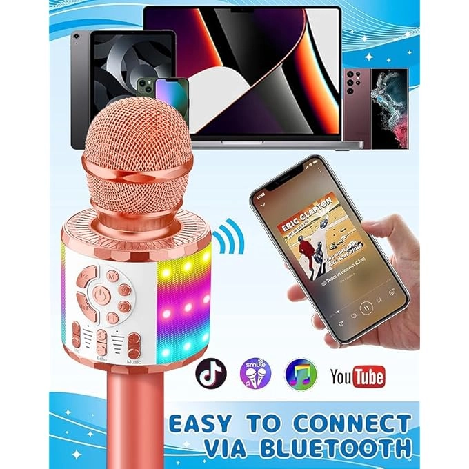 rayihni Karaoke Microphone Pack