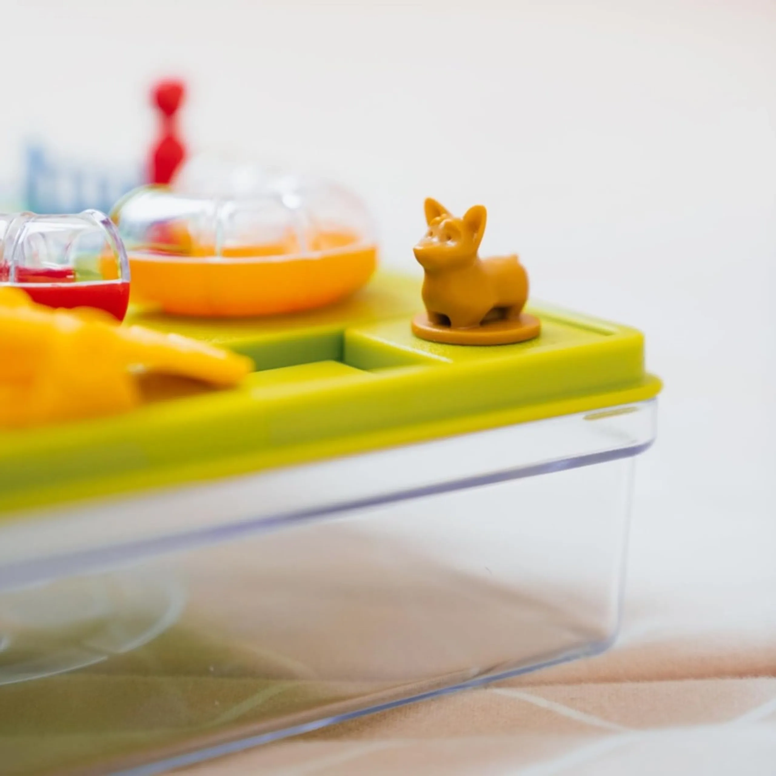 Smart Dog Obstacle Run