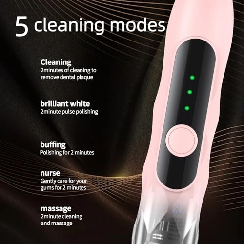 Oscillation&Vibration Sonic Electric Toothbrush - 10 Brush Heads 48000VPM 5 Cleaning Modes