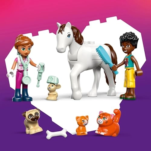 Friends Animal Vet Clinic (42696)