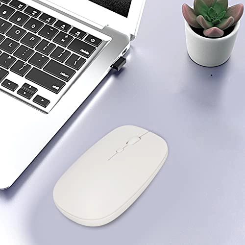 Wireless Mouse - USB