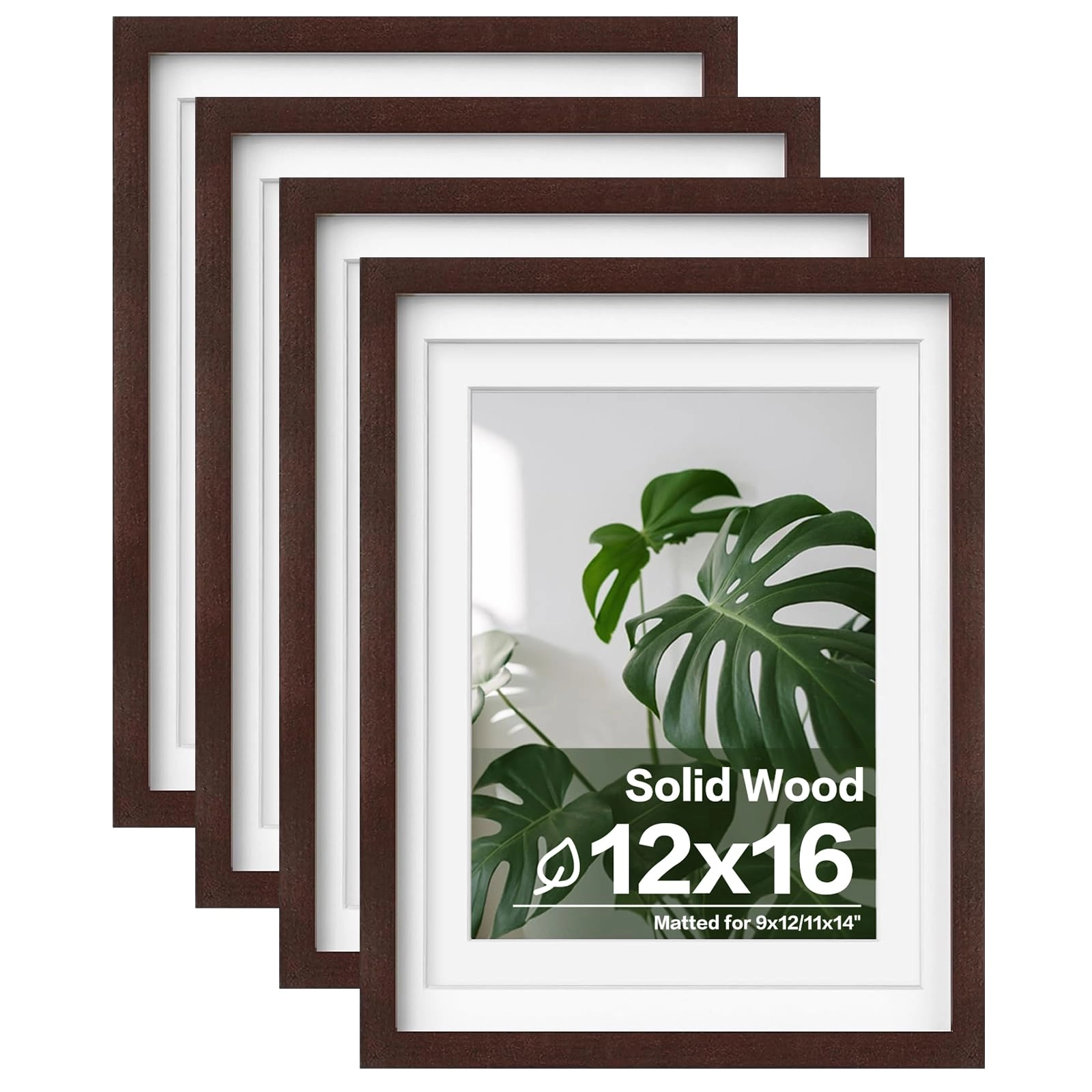 picture frames - 12x16