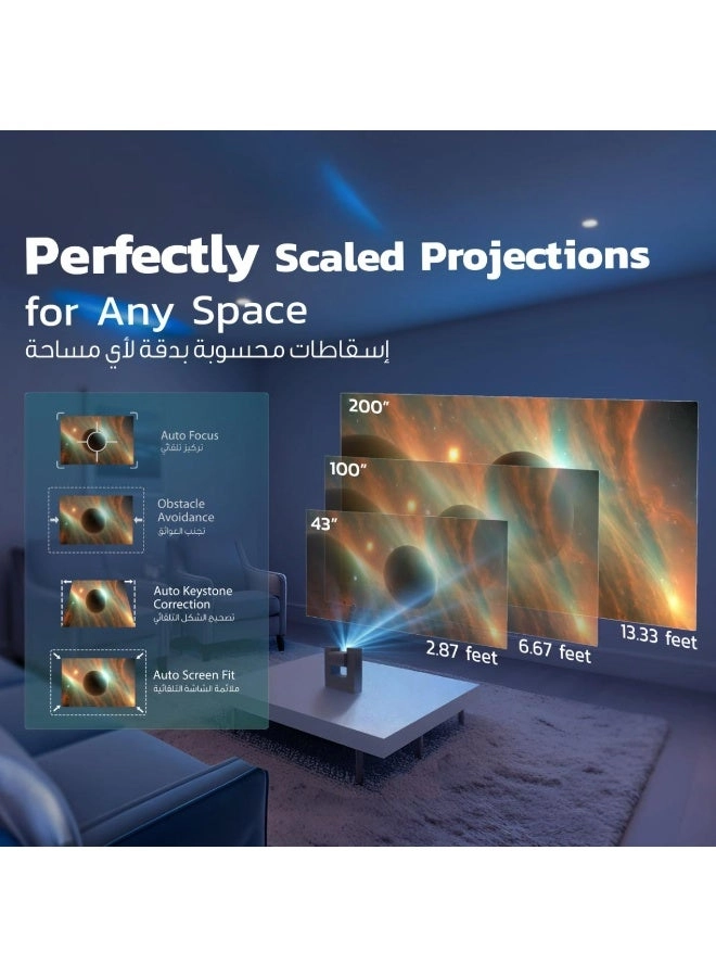 VisionArc PYM220CGY 300 ANSI Lumens