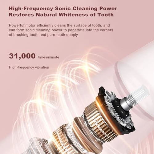 Soft Electric Toothbrush - 31000 brush strokes/min Rechargeable 3 Cleaning Modes