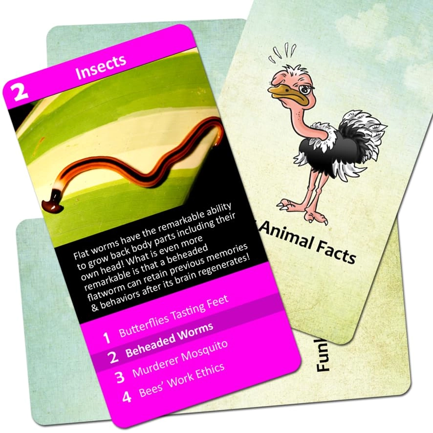 Go Fish!: Funky Animals Facts - Card Game