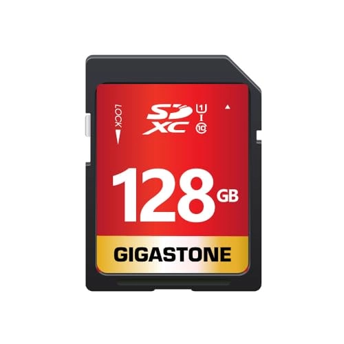 Gigastone SD Card - 128GB