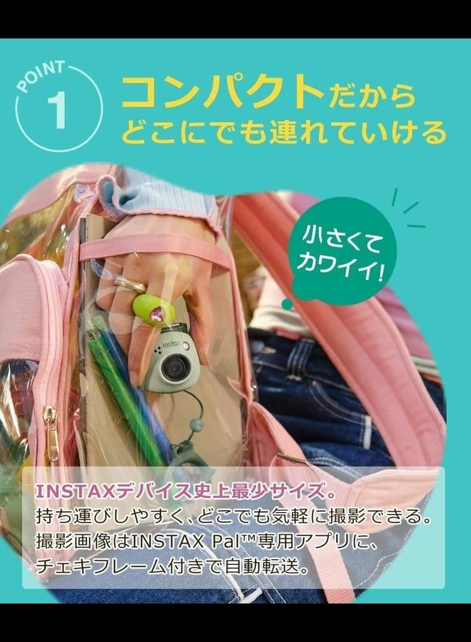 PAL - White SD Card & Adapter Set Bundle