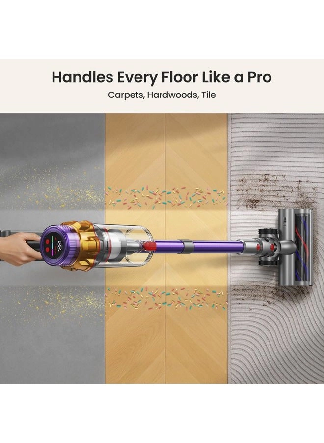 Cordless Vacuum Cleaner (P12)