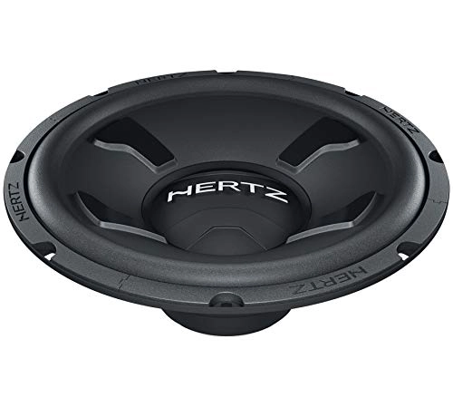 DS-253 - 250 W 10"