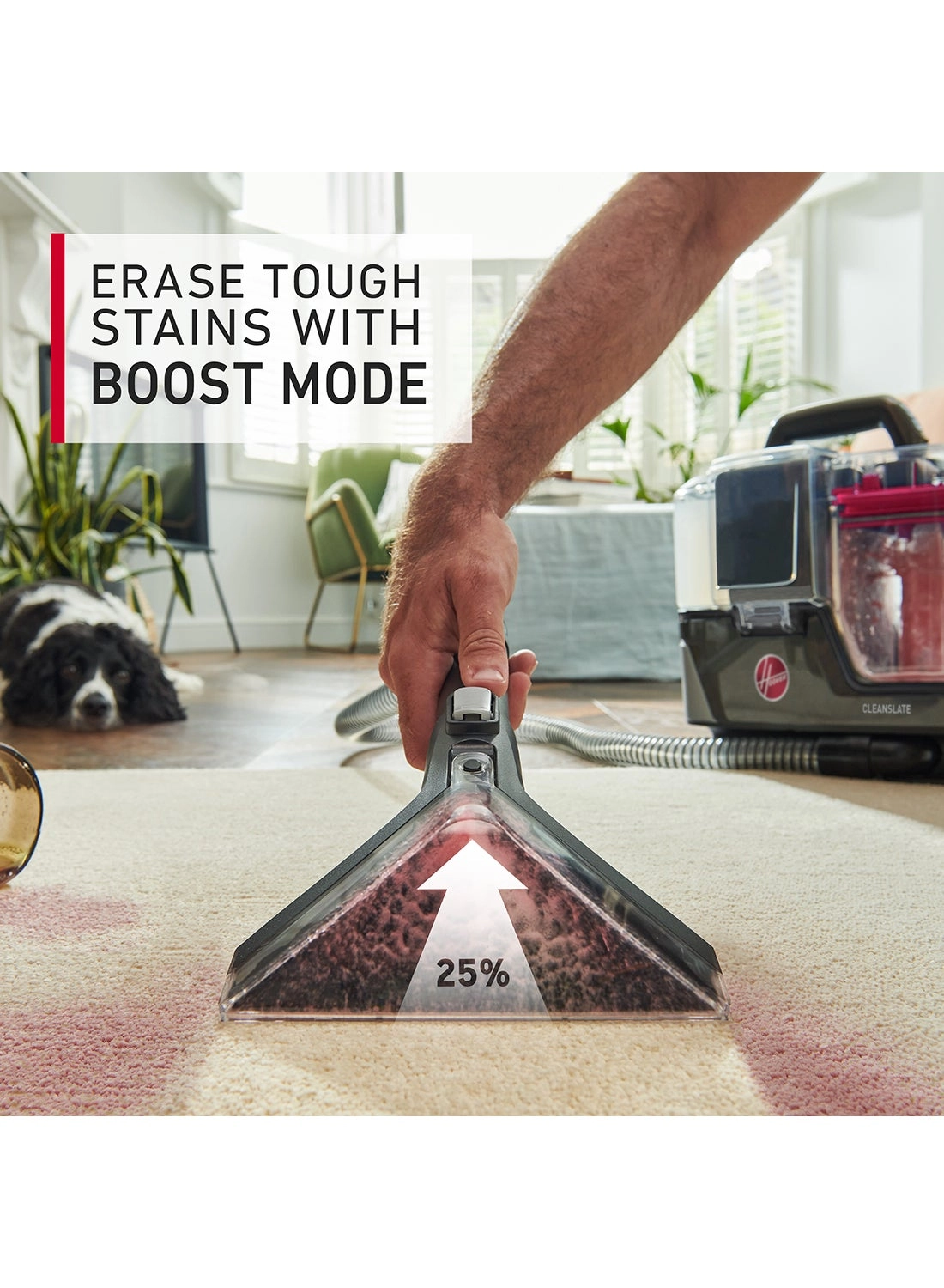 Cleanslate - Wet & Dry 430 W