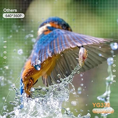 Projector - 12000 Lumens Native 1080P