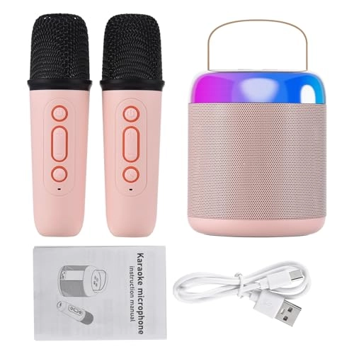 Portable Karaoke Machine - Dual