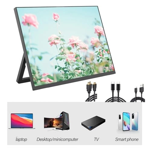 13.5Inch Portable Display - 2256x1504