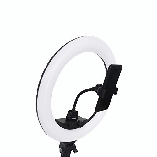 Fill Light - 14 Inch