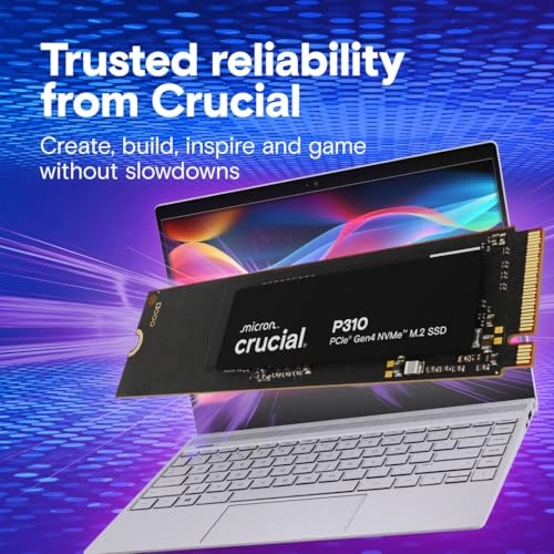 P310 - 500GB M.2 2280