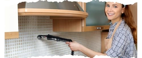 Steam Cleaner - 350 Milliliters Kit