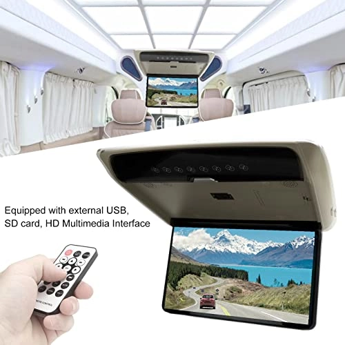 Car Overhead Player - 15.6in