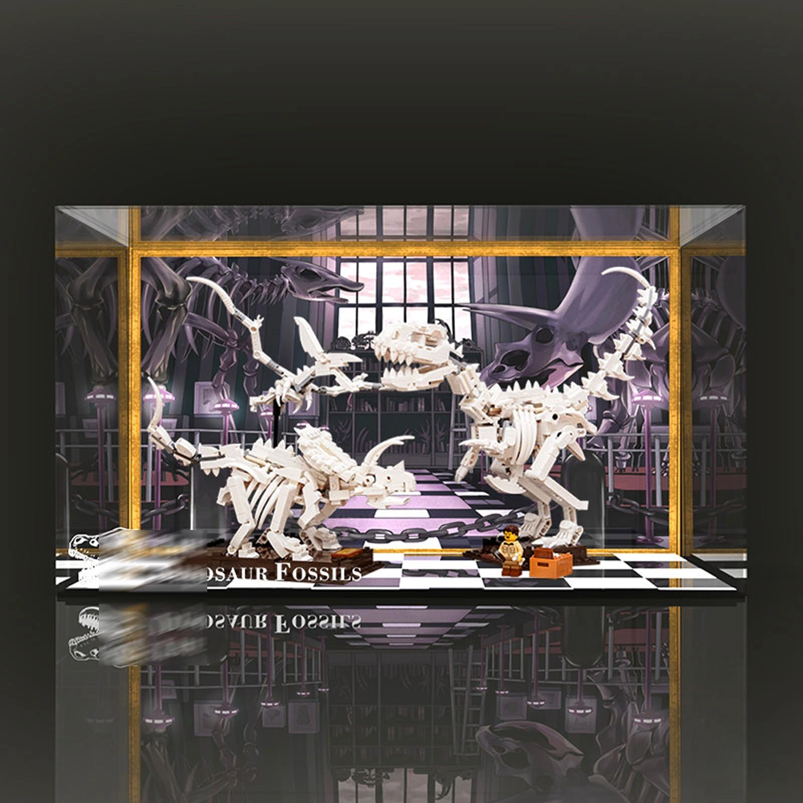 Generisch Display Case - LEGO 21320