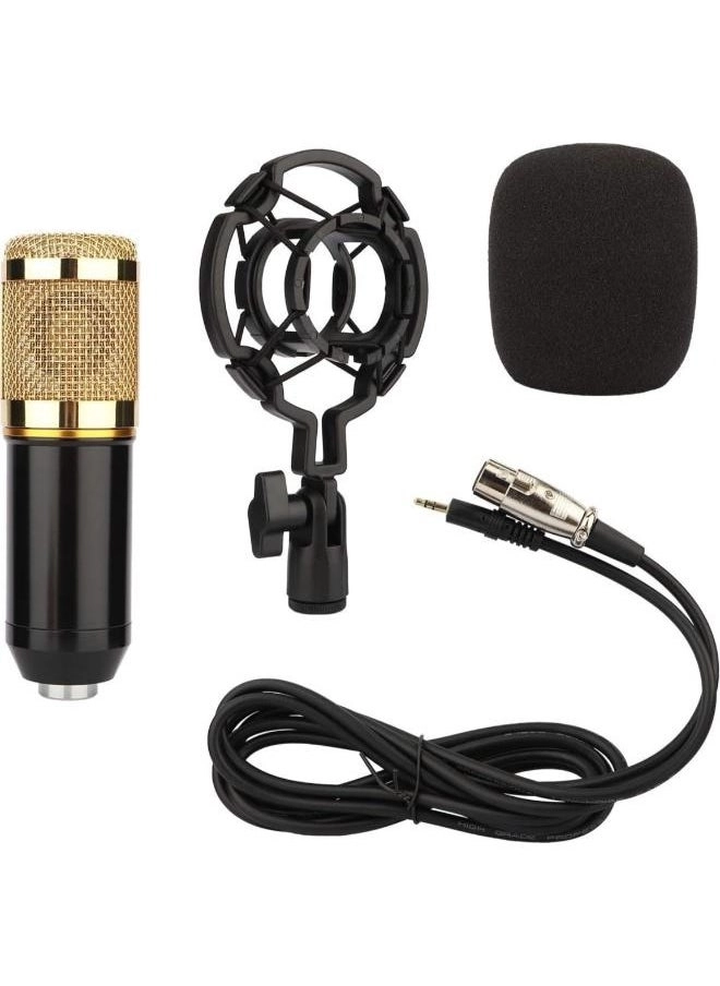 Easy Life Condenser XLR+3.5mm-Mini-Jack Microphone
