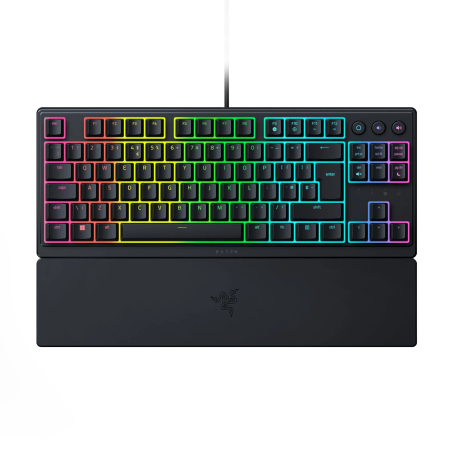 Ornata V3