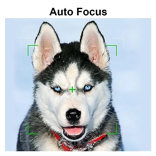 1005004481171508 Kit