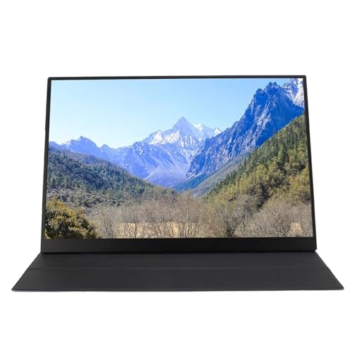 Portable Monitor - Denash3u0fg2c8ib 18 Inch 2560x1600
