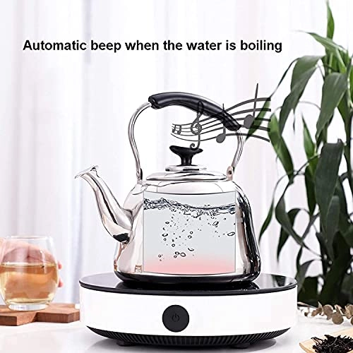 Whistling Teapot - stainless steel 1.5L