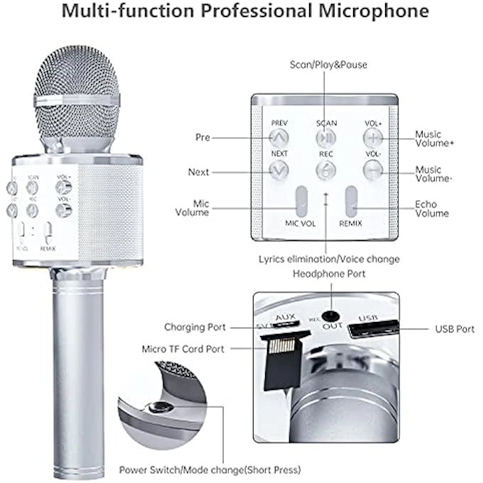 rayihni Karaoke Microphone Pack