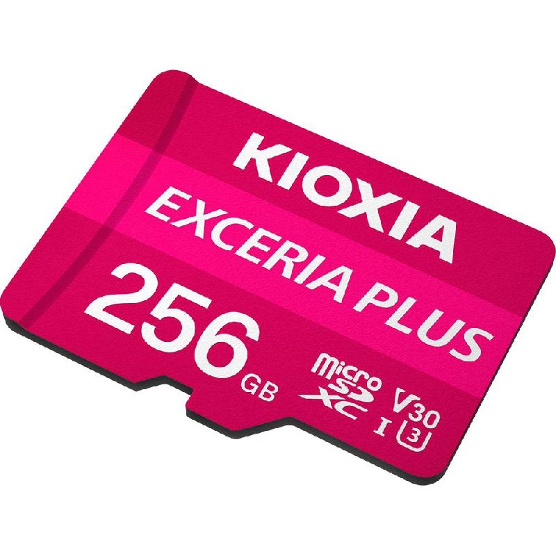 Exceria Plus - 256GB
