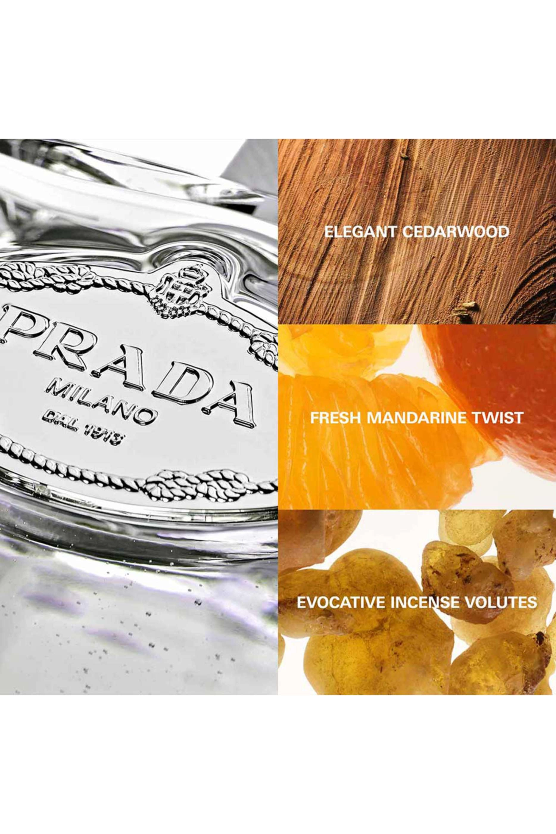 Cèdre Eau de Parfum 100ml