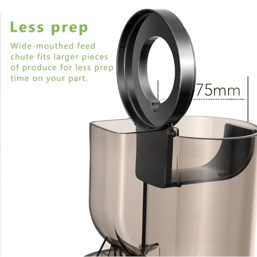 juice machine - 250W