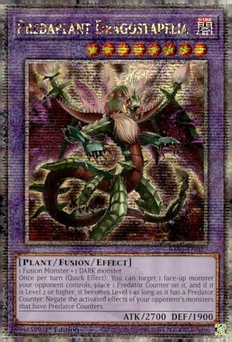 Predaplant Dragostapelia RA01-EN027