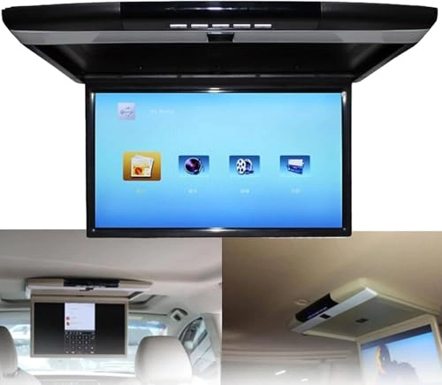 MP5 Ceiling Display - 17.3 Inch
