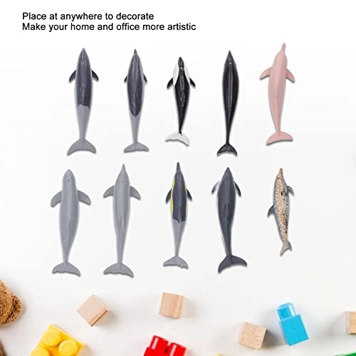 Dolphin Model Toy Science - 4 years and up 10 pieces