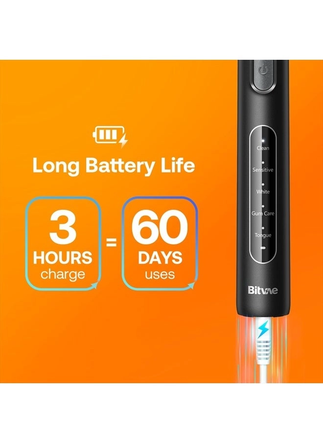 R1 - Rotating Electric Toothbrush 8 Brush Heads Pink