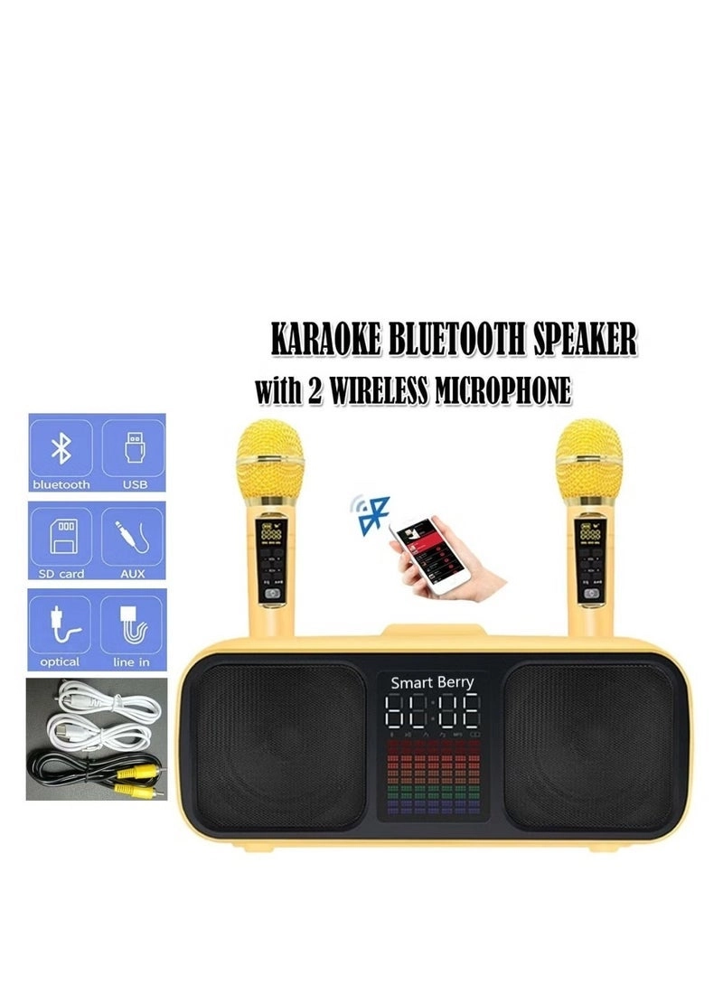 S39 PRO - 2 Wireless Microphones