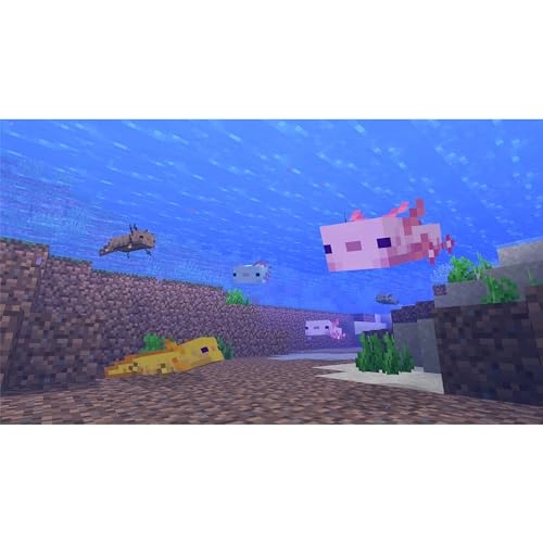 Minecraft Starter Collection - Xbox One