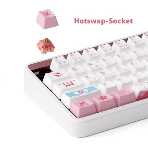 JIN01 - Wired/Wireless