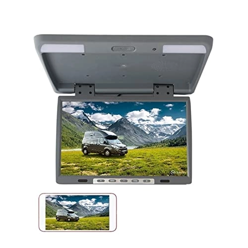 Car Ceiling Display - 19 Inch
