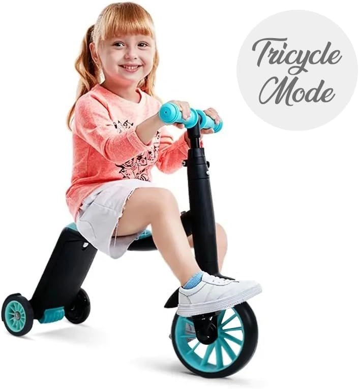 Multifunctional Kick Scooter