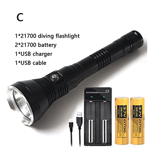 Professional Submersible Light