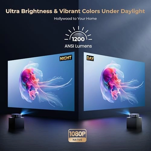 F505 V800P 1000 ANSI lumens