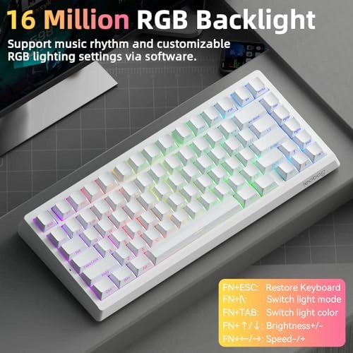 A80 RT - QWERTY USB-C
