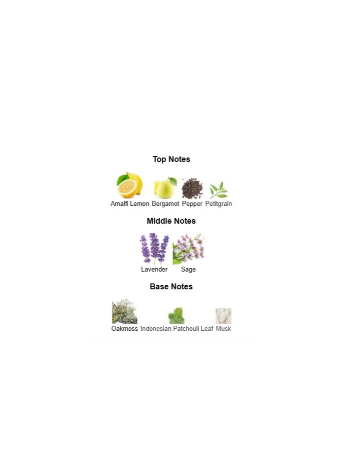 L'Homme Sport Eau de Toilette 100 ml