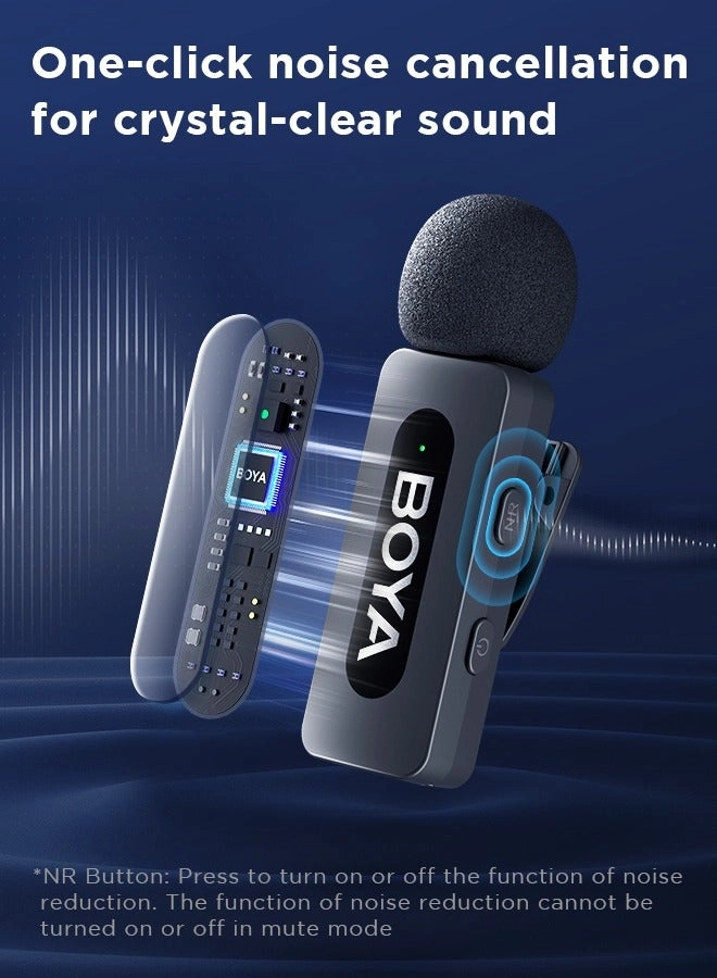 BY-V10 Wireless+USB Microphone